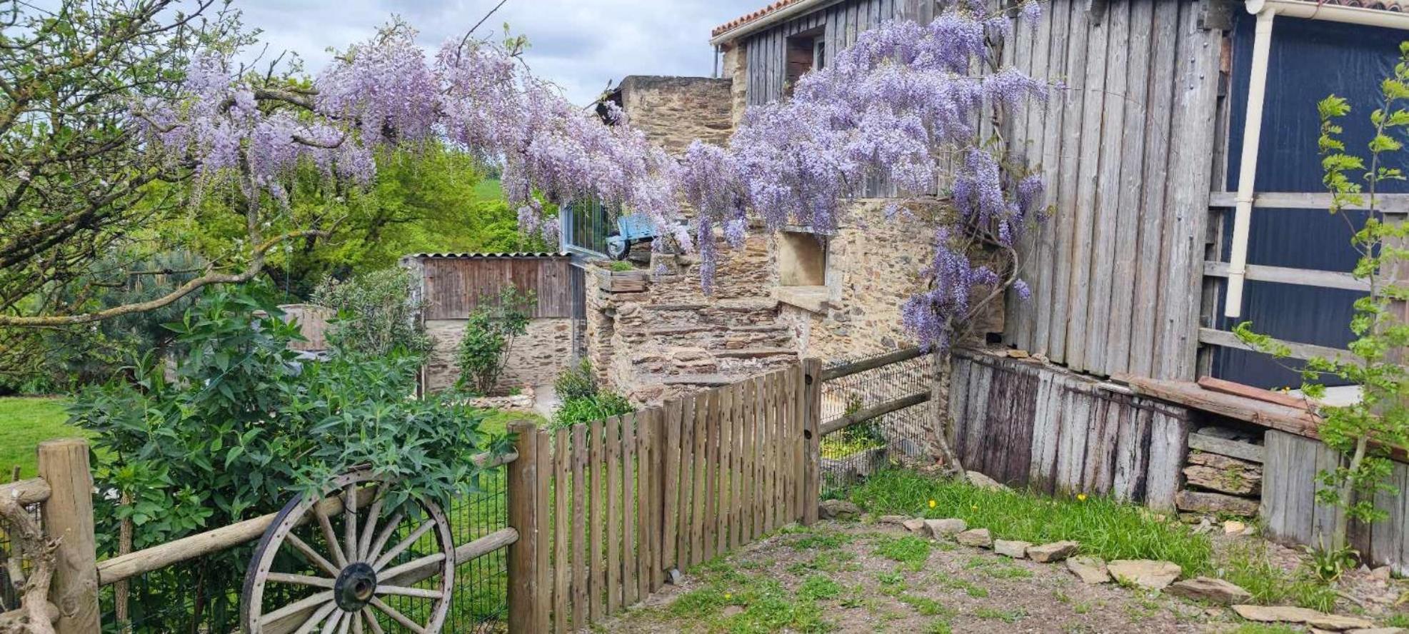 Aux Yourtes De La Fabrique Saint-Florent-des-Bois 外观 照片